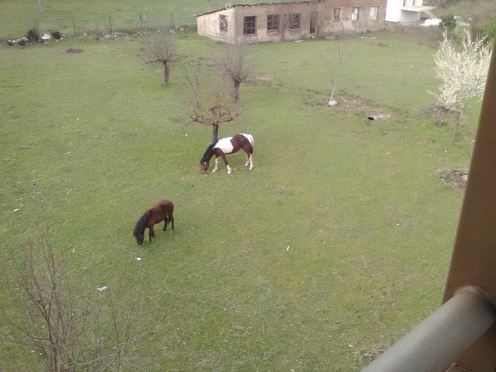 To Spiti Tis Irinis Ξενοδοχείο Βυτίνα Εξωτερικό φωτογραφία